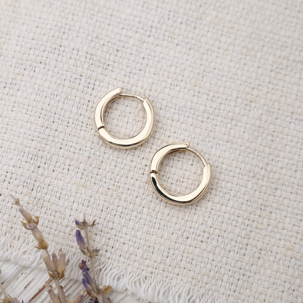 
                      
                        EAR-14K 14k Small Hinged Hoop
                      
                    