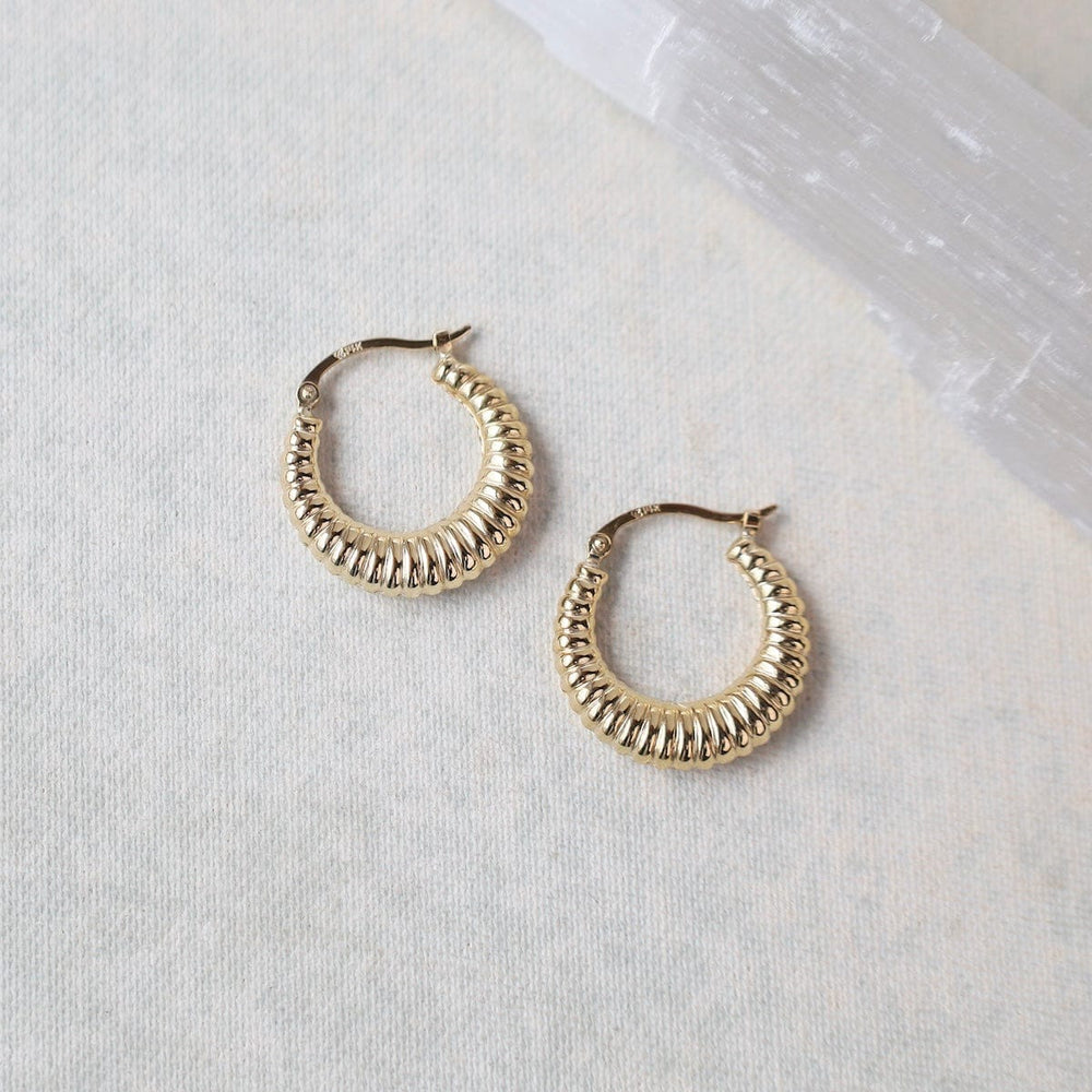 
                      
                        EAR-14K 14k Small Shrimp Shell Hoops
                      
                    