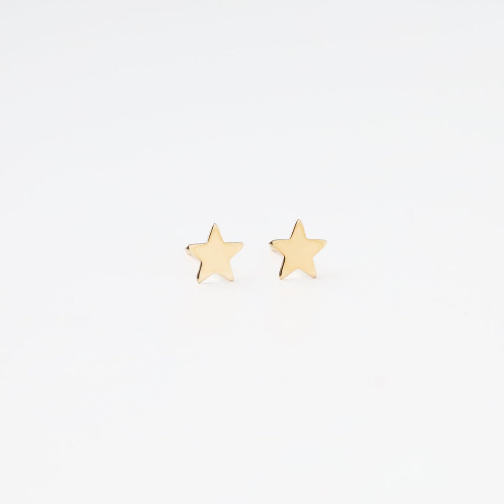 
                      
                        EAR-14K 14k Small Star Post Earring
                      
                    