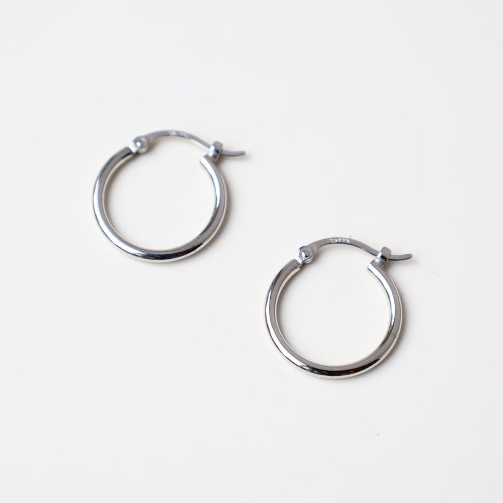 
                      
                        EAR-14K 14k White Gold 1.5x15mm Tube Hoop
                      
                    