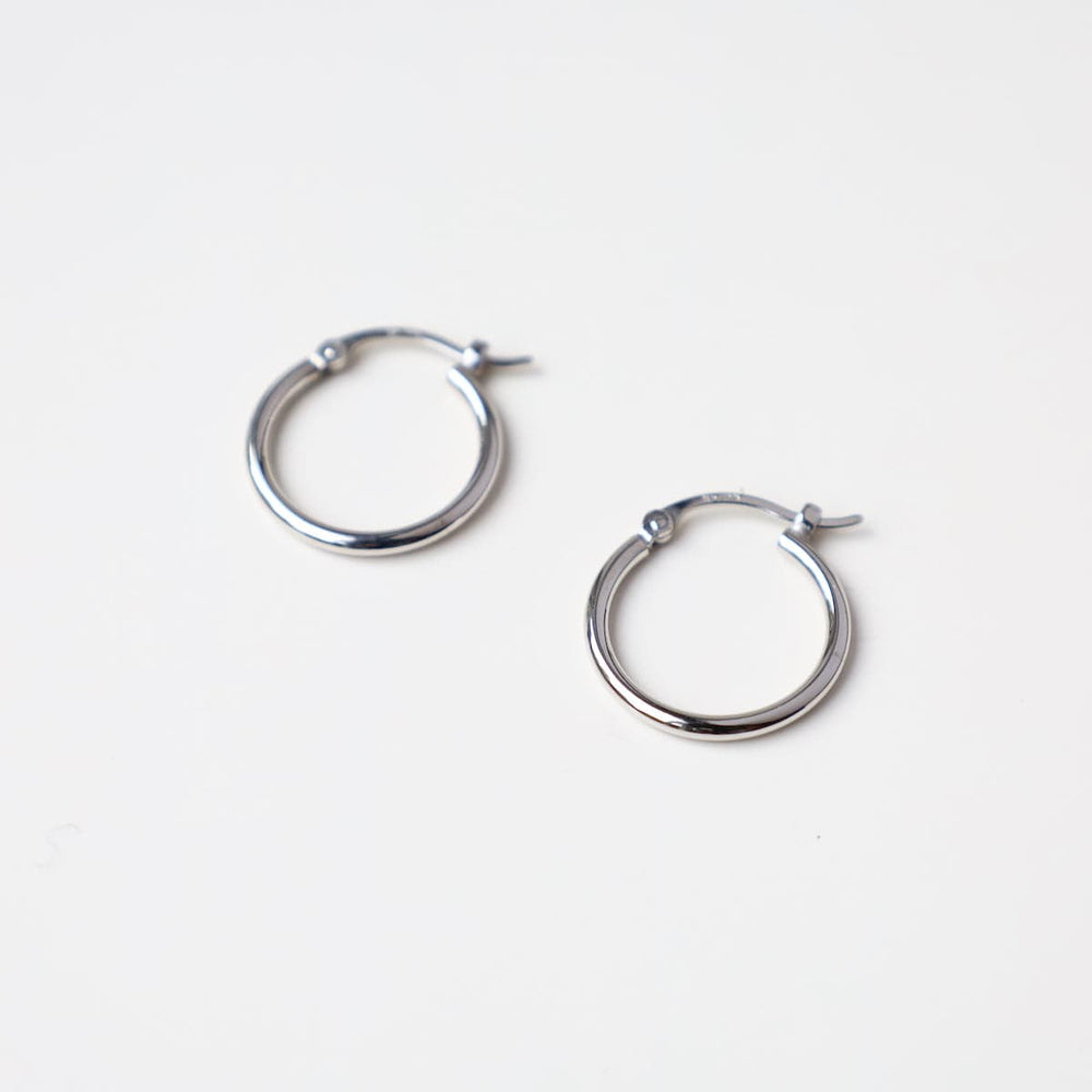 
                      
                        EAR-14K 14k White Gold 1.5x15mm Tube Hoop
                      
                    