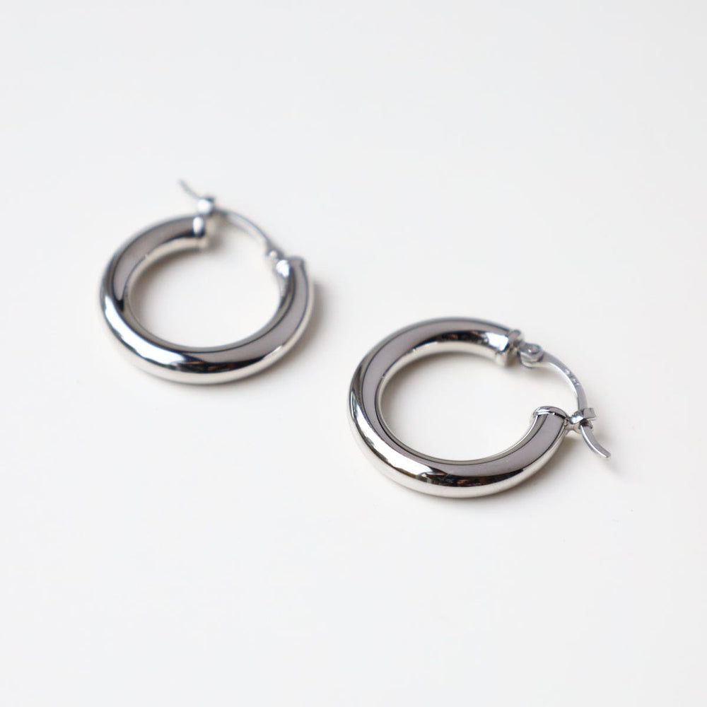 
                  
                    EAR-14K 14k White Gold 3x18mm Tube Hoop
                  
                