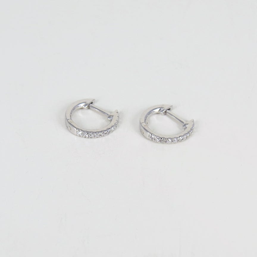 
                      
                        EAR-14K 14k White Gold Extra Petite Diamond Huggie Hoops
                      
                    