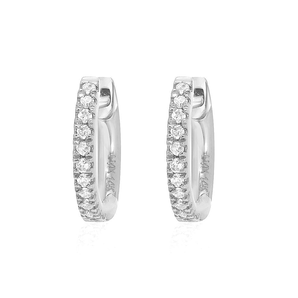 
                      
                        EAR-14K 14k White Gold Extra Petite Diamond Huggie Hoops
                      
                    