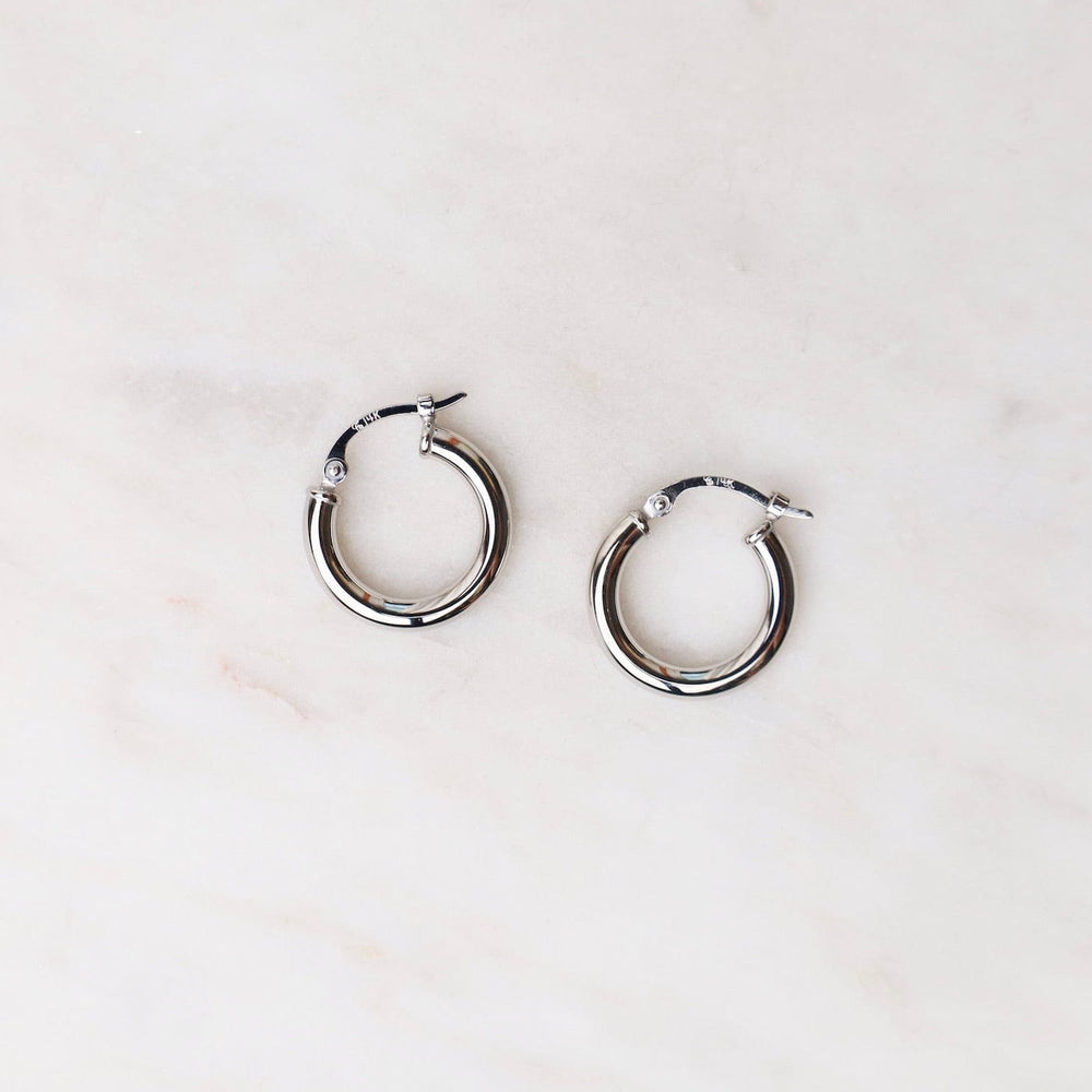 
                      
                        EAR-14K 14k White Gold Tube Hoops
                      
                    