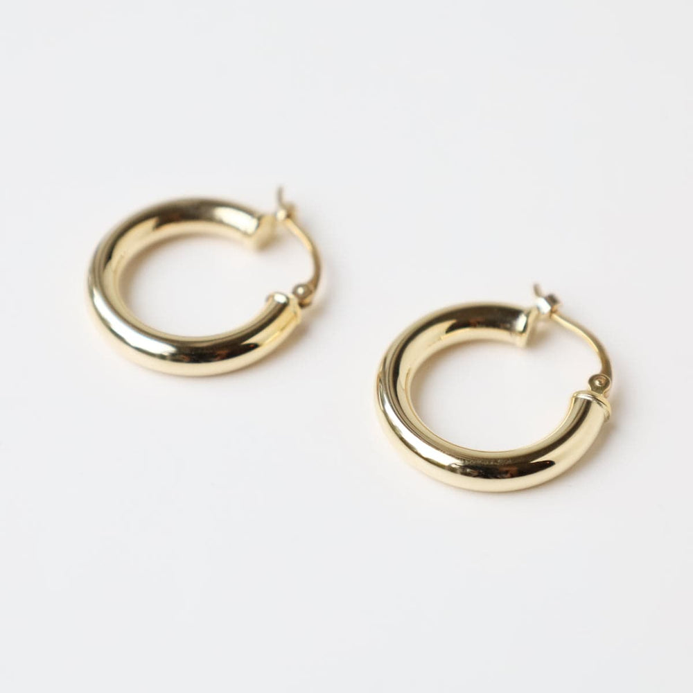 
                      
                        EAR-14K 14k Yellow Gold 3x18mm Tube Hoop
                      
                    