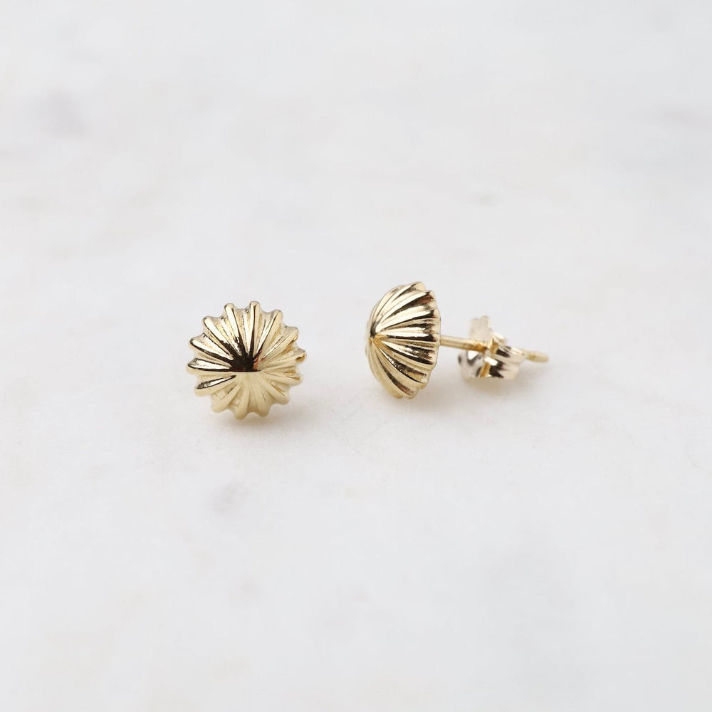 
                      
                        EAR-14K 14k Yellow Gold 8mm Scallop Button Stud
                      
                    