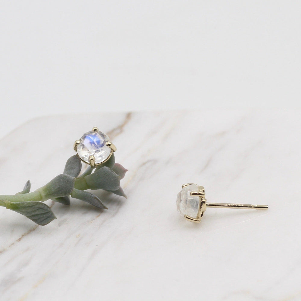 
                  
                    EAR-14K 14k Yellow Gold and Rainbow Moonstone Stud Earring
                  
                