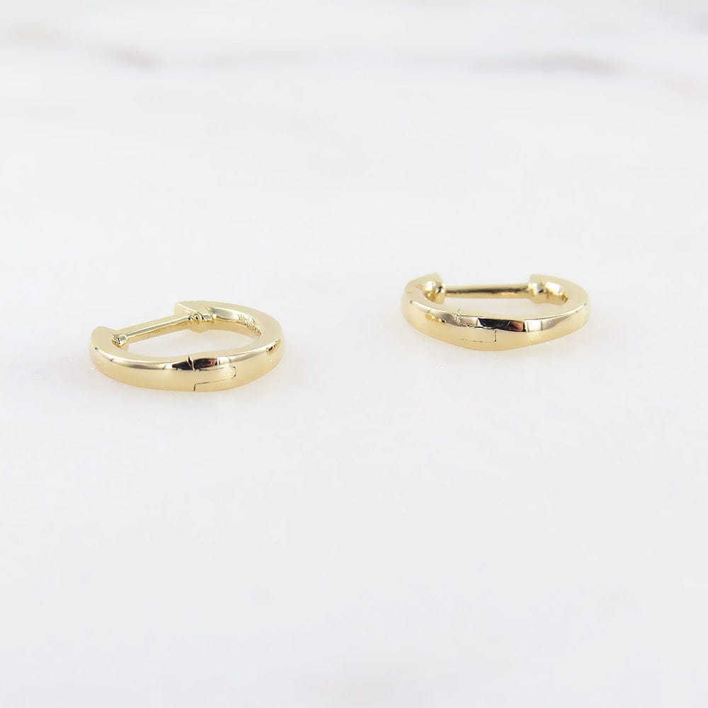 
                      
                        EAR-14K 14k Yellow Gold Extra Petite High Polish Huggies
                      
                    