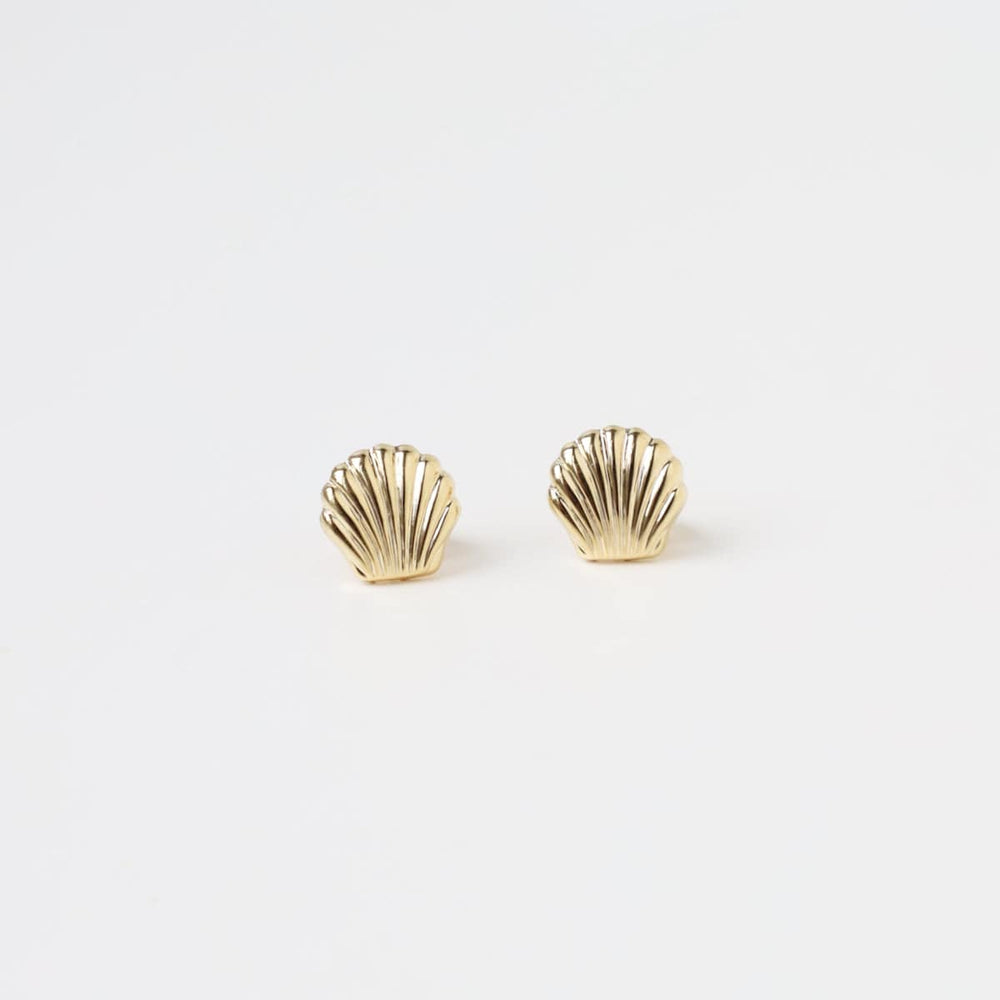 
                      
                        EAR-14K 14k Yellow Gold Small Flat Sea Shell Post Earring
                      
                    