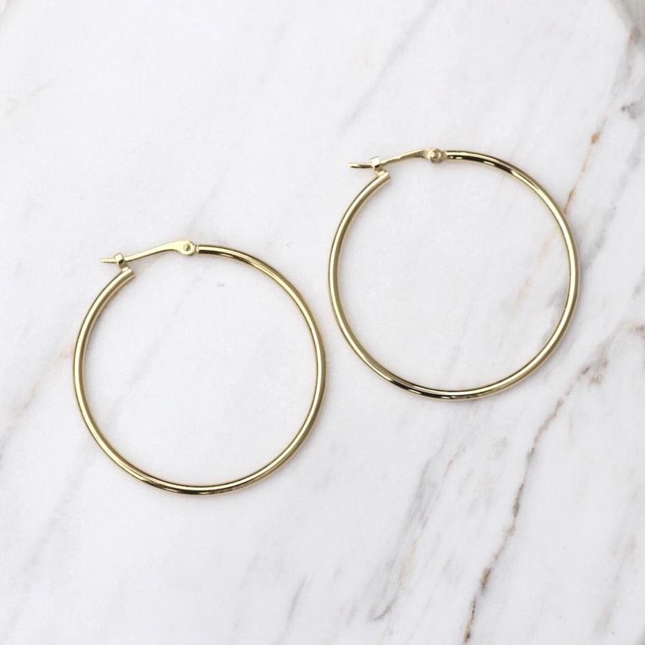 
                      
                        EAR-14K 14k Yellow Gold Tube Hoop
                      
                    