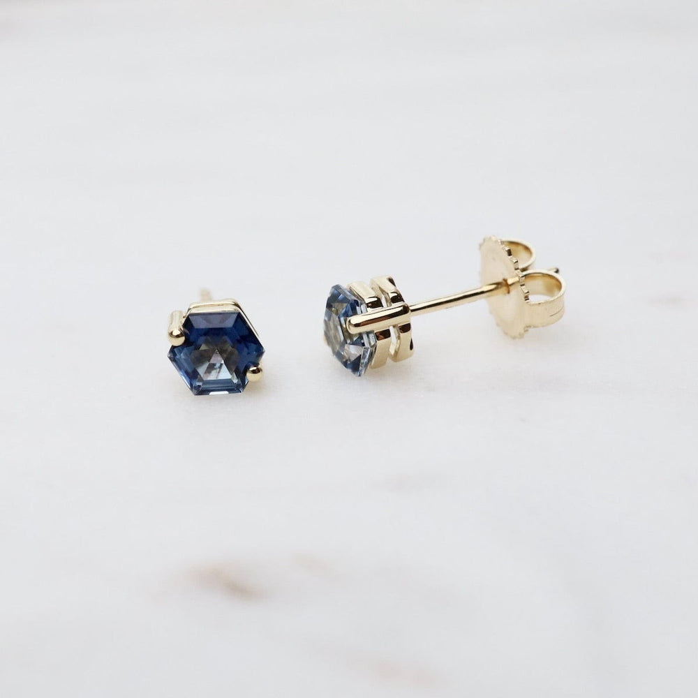 
                  
                    EAR-14K Hexagon English Blue Topaz Post Earrings
                  
                