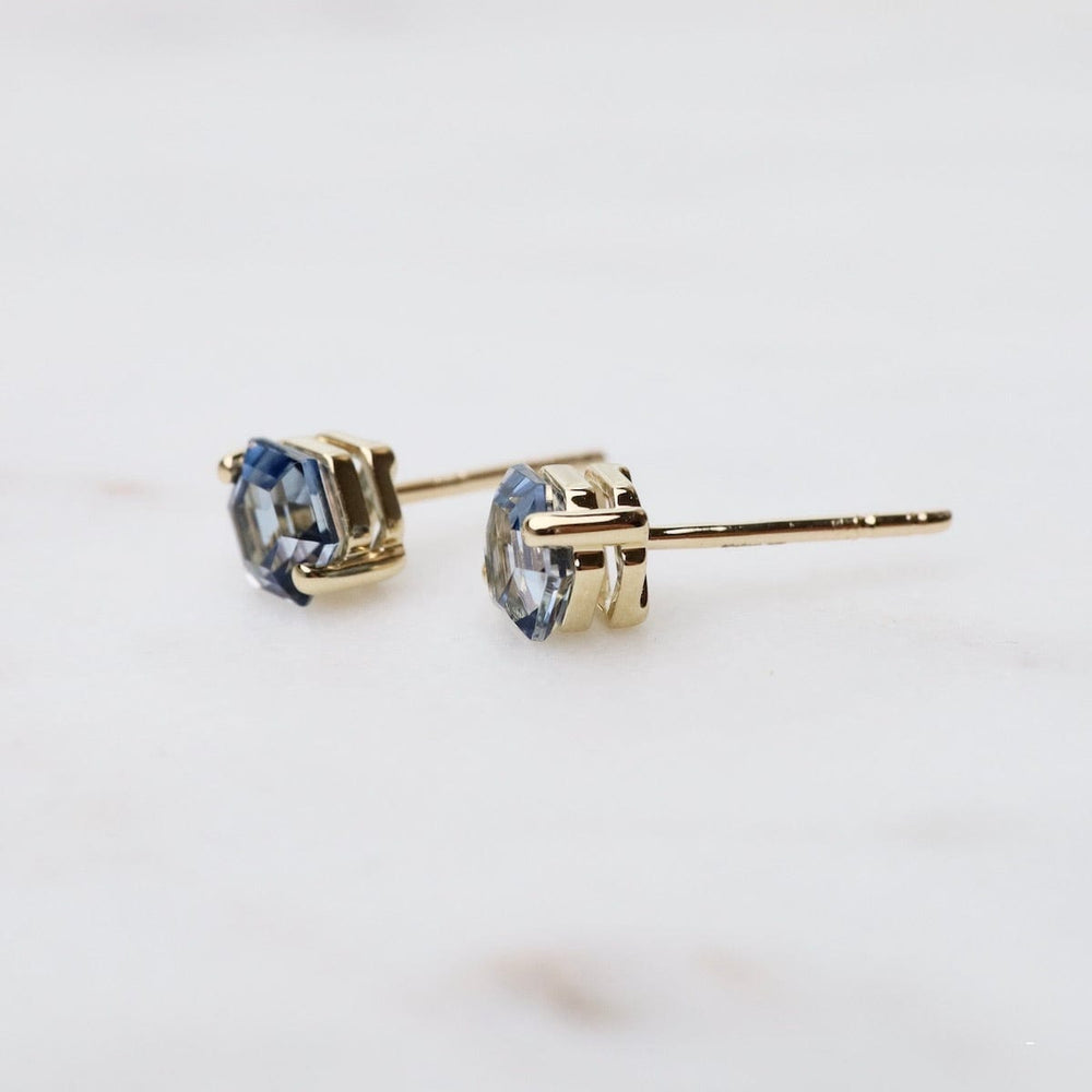 
                  
                    EAR-14K Hexagon English Blue Topaz Post Earrings
                  
                