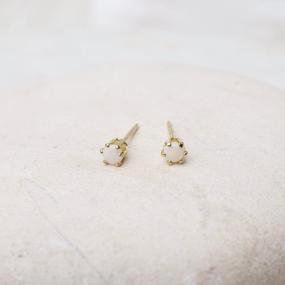 
                      
                        EAR-14K Tiny Opal 14k Post Earrings
                      
                    