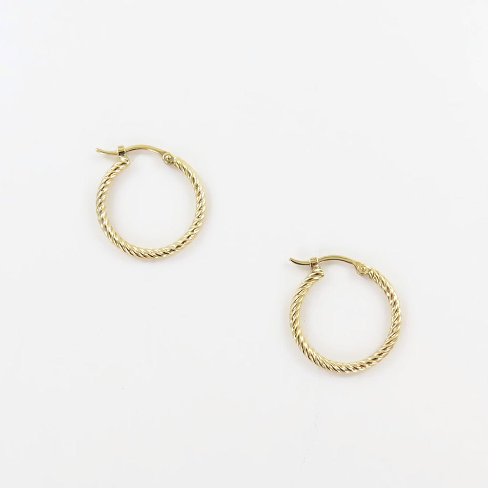 
                      
                        EAR-14K TWIST TUBE HOOPS
                      
                    