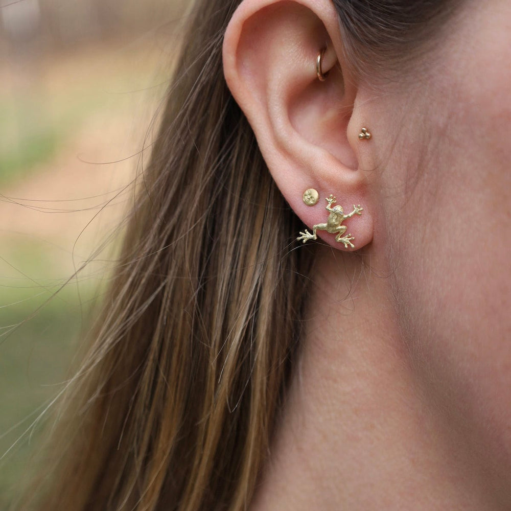 
                      
                        EAR-18K Climbing Treefrog Stud Earrings
                      
                    