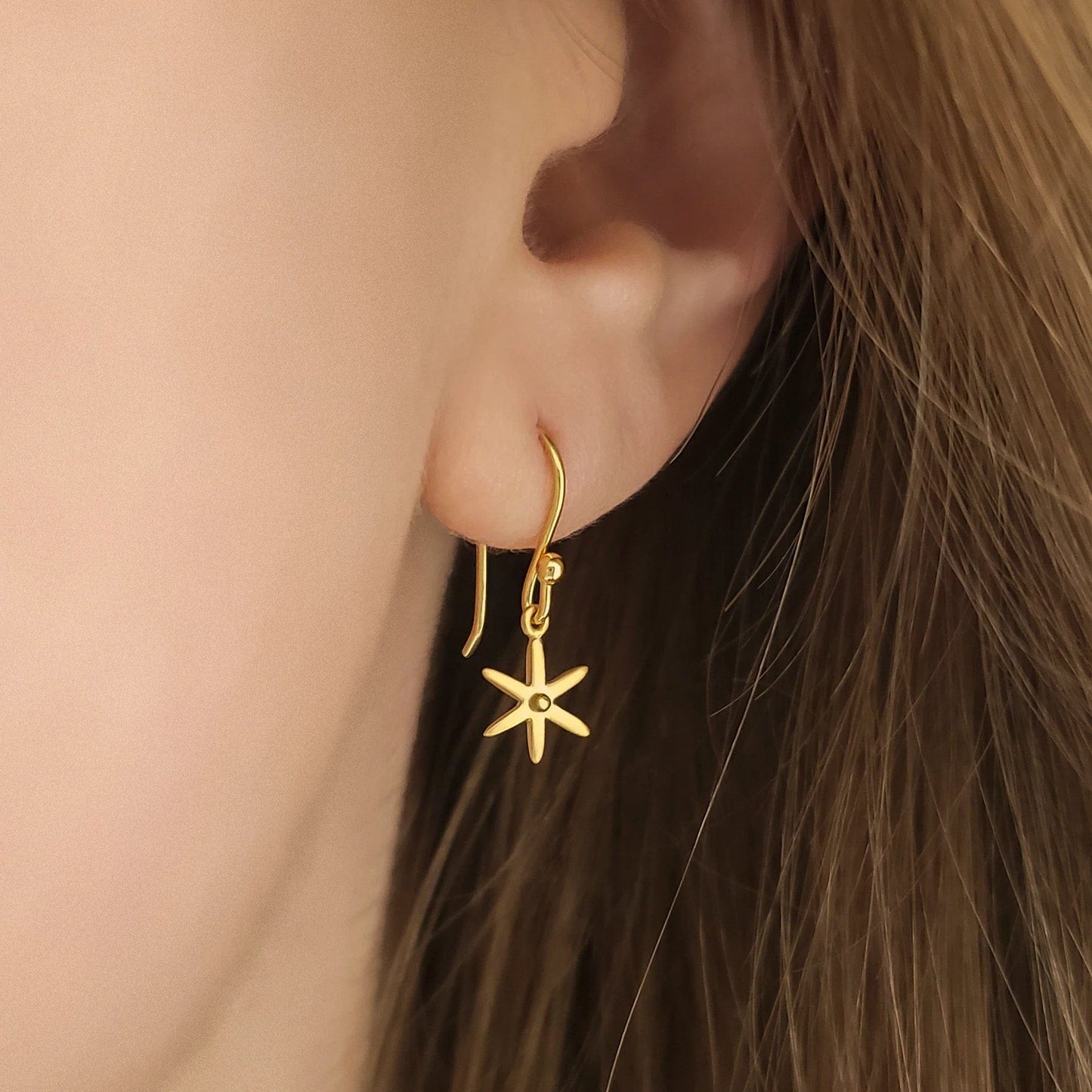 EAR-18K Mini `Celestial` Star Earrings