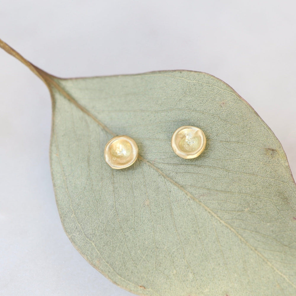 EAR 18k Yellow Gold Baby Mussel Shell Studs