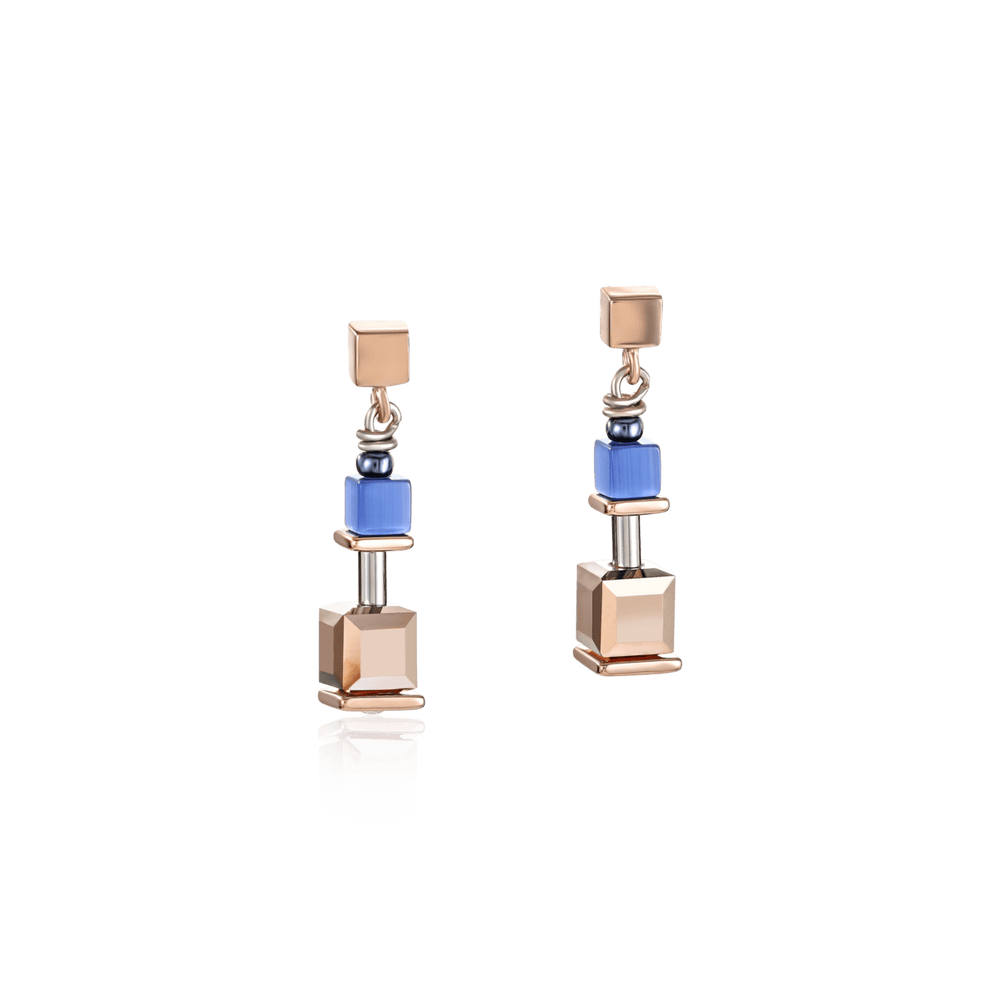 
                      
                        EAR Blue Rose Gold Geo Cube Earring
                      
                    