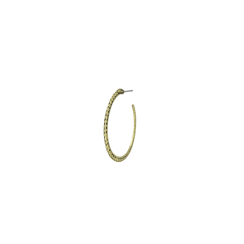 
                      
                        EAR-BRASS Solid Brass Dot Hoop
                      
                    