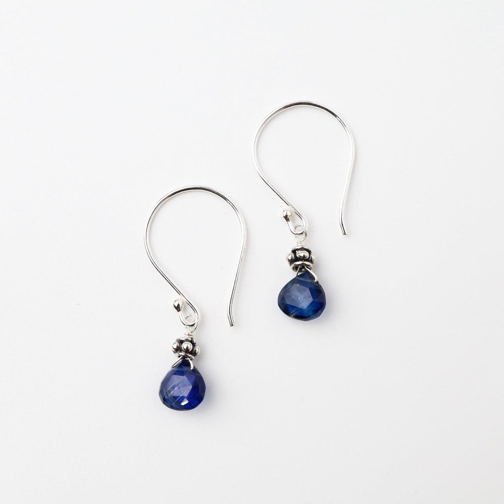 
                      
                        EAR Bright Blue Kyanite Tiny Silver Earring
                      
                    