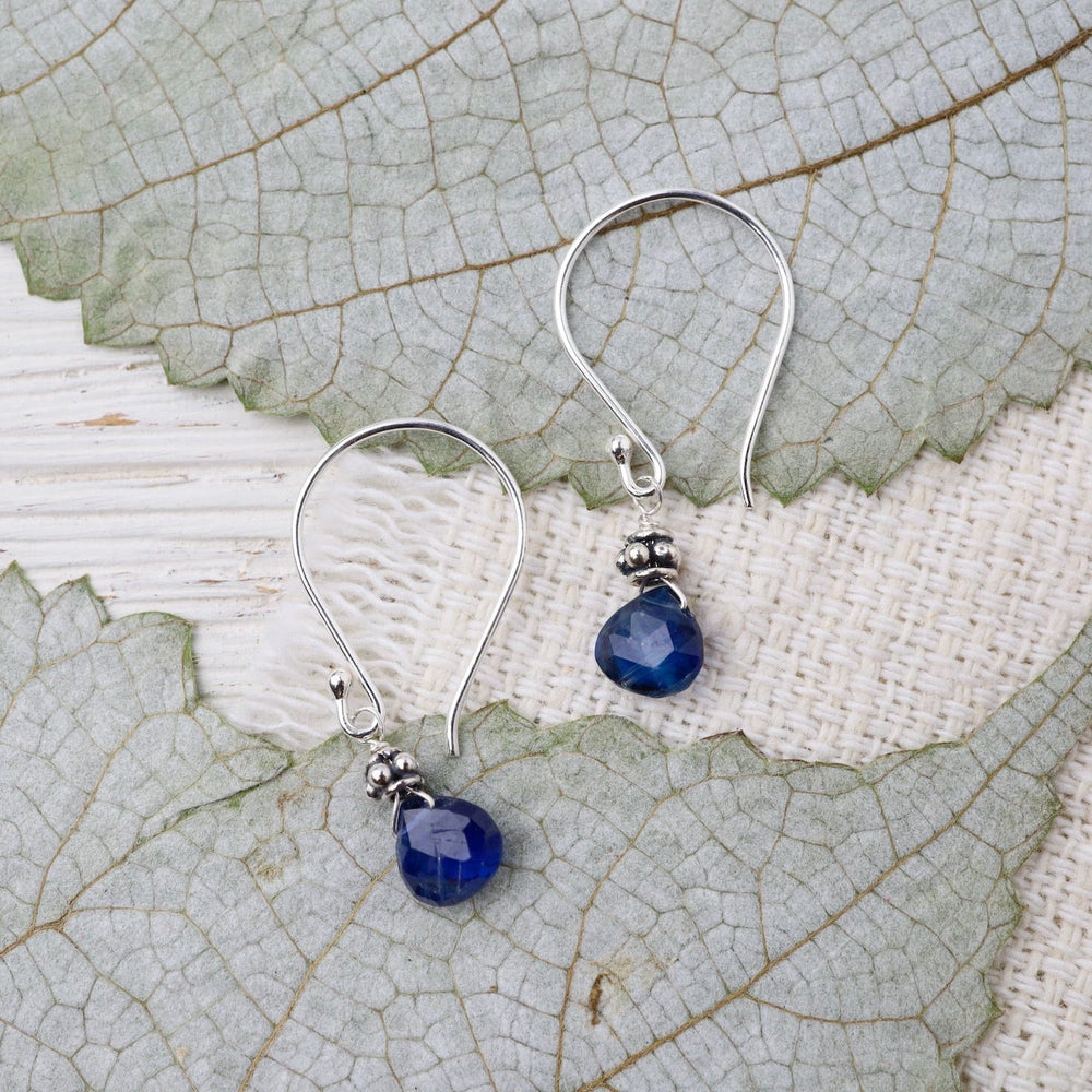 
                      
                        EAR Bright Blue Kyanite Tiny Silver Earring
                      
                    