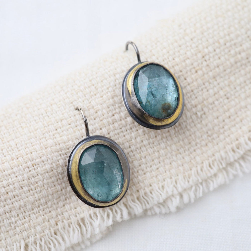 
                      
                        EAR Crescent Rim Hook Earrings with Sky Blue Kyanite
                      
                    