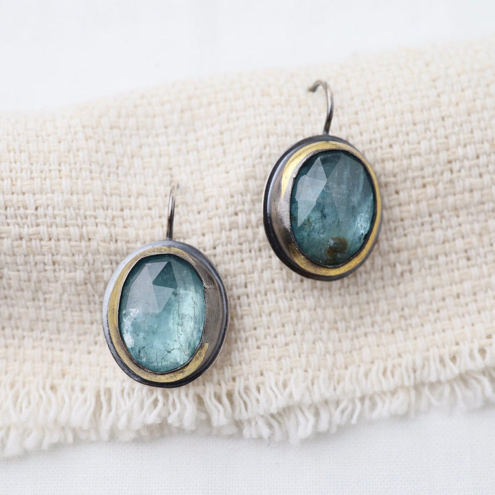 
                      
                        EAR Crescent Rim Hook Earrings with Sky Blue Kyanite
                      
                    