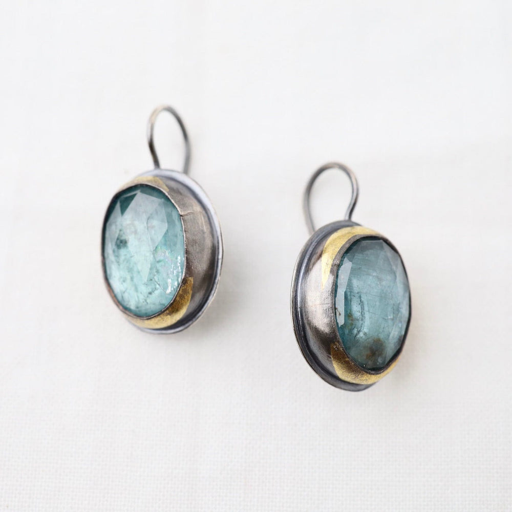 
                      
                        EAR Crescent Rim Hook Earrings with Sky Blue Kyanite
                      
                    