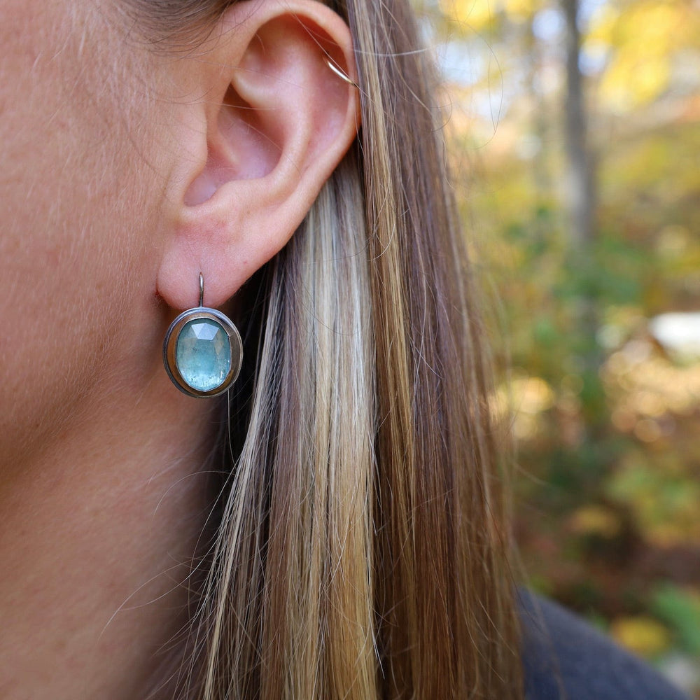 
                      
                        EAR Crescent Rim Hook Earrings with Sky Blue Kyanite
                      
                    