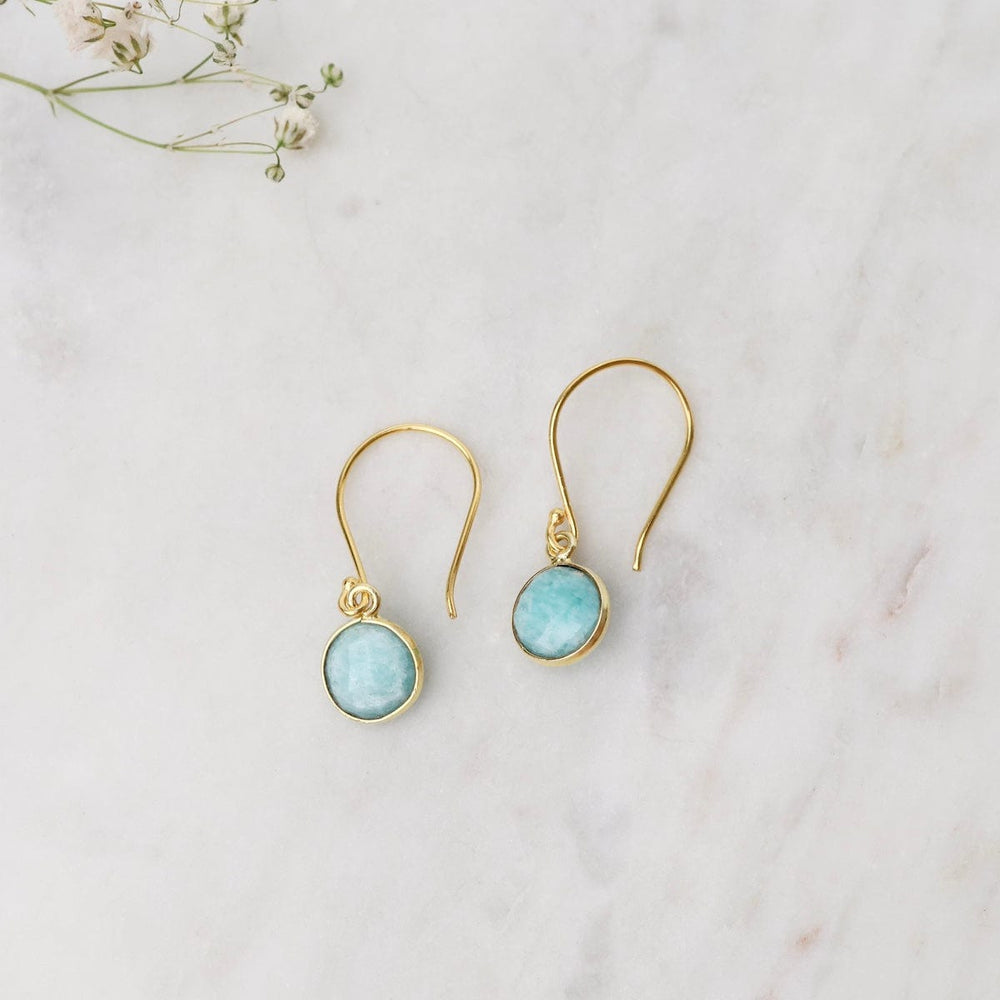 
                      
                        EAR-GF 8mm Amazonite Drop Earrings
                      
                    