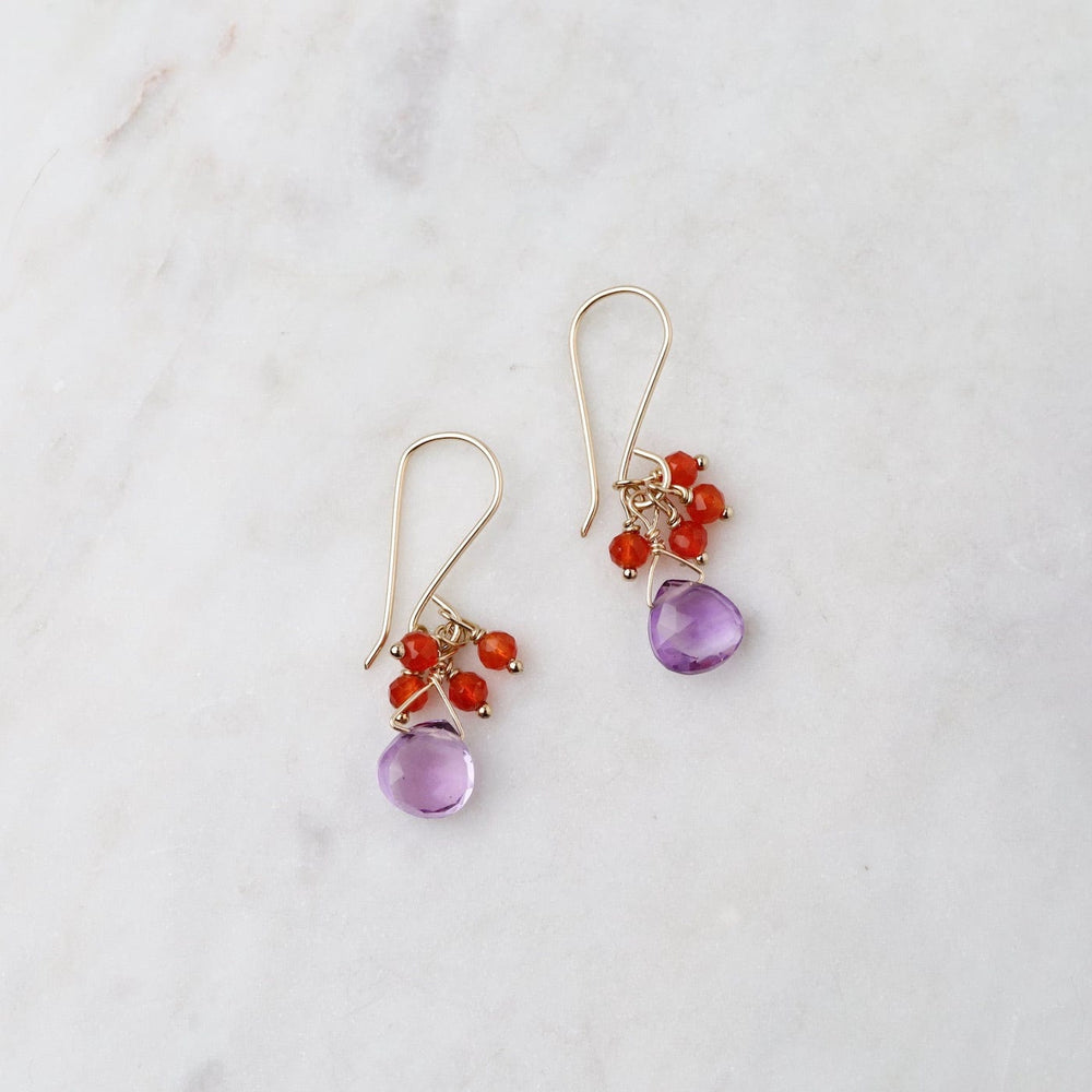 
                      
                        EAR-GF Amethyst Drop with Carnelion Cluster Earring
                      
                    