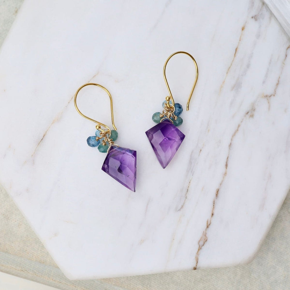 
                      
                        ear-gf Amethyst Spade With Grandidierite Earrings
                      
                    