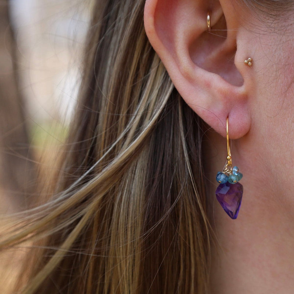 ear-gf Amethyst Spade With Grandidierite Earrings