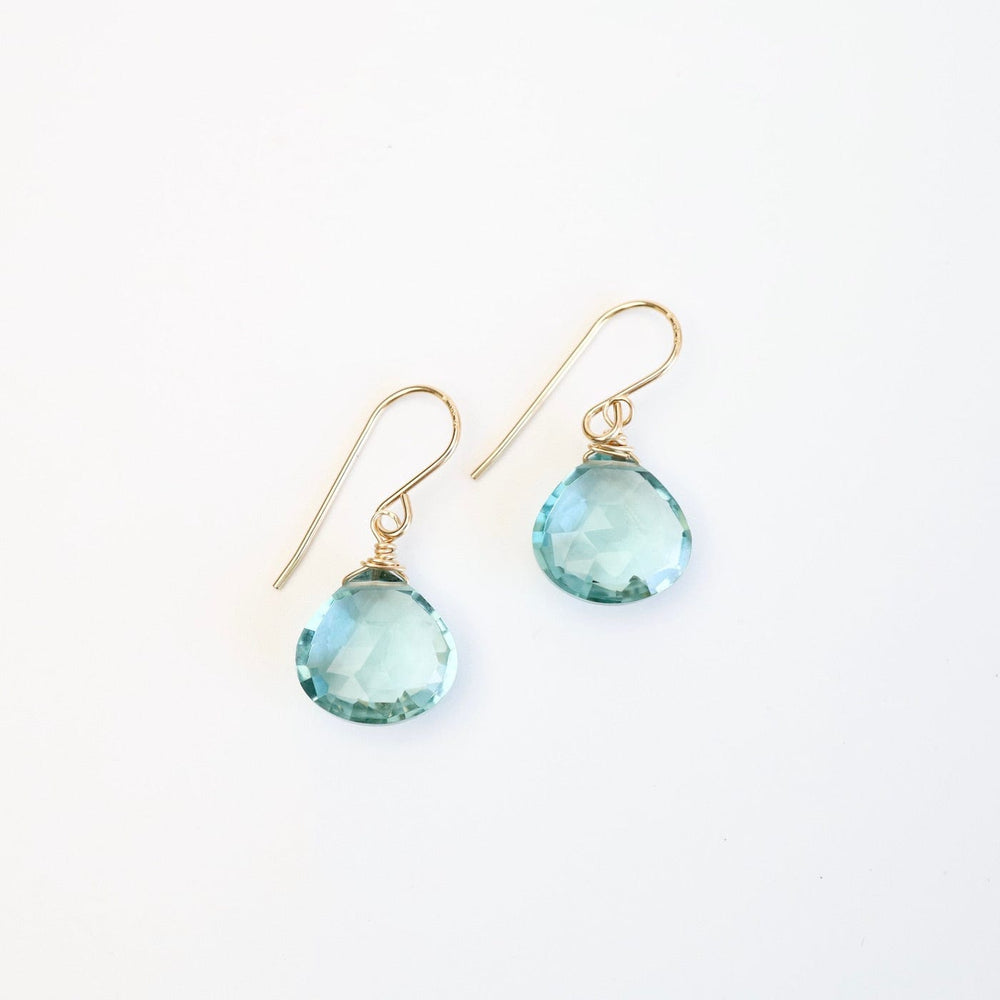 
                      
                        EAR-GF Blue Topaz Teardrop Earring
                      
                    