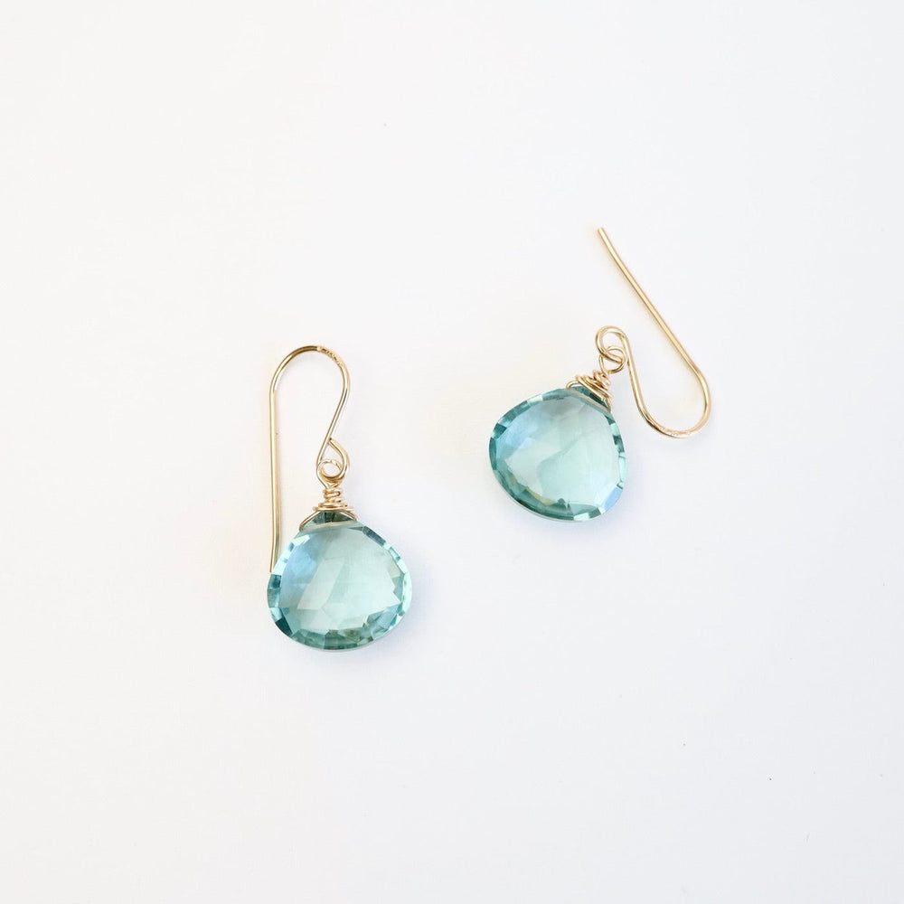 
                      
                        EAR-GF Blue Topaz Teardrop Earring
                      
                    