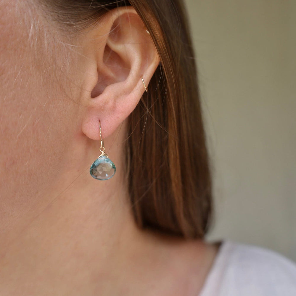 
                      
                        EAR-GF Blue Topaz Teardrop Earring
                      
                    