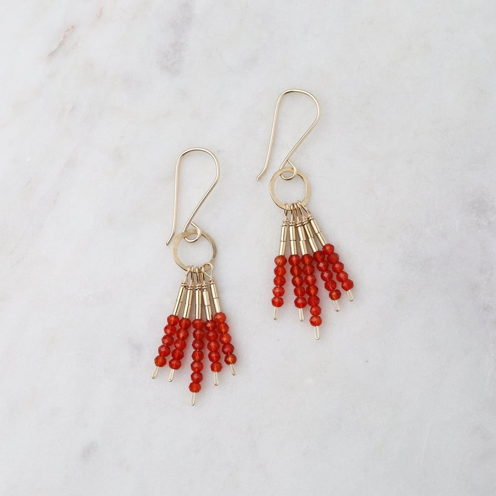 
                      
                        EAR-GF Carnelion Fringe Earring
                      
                    