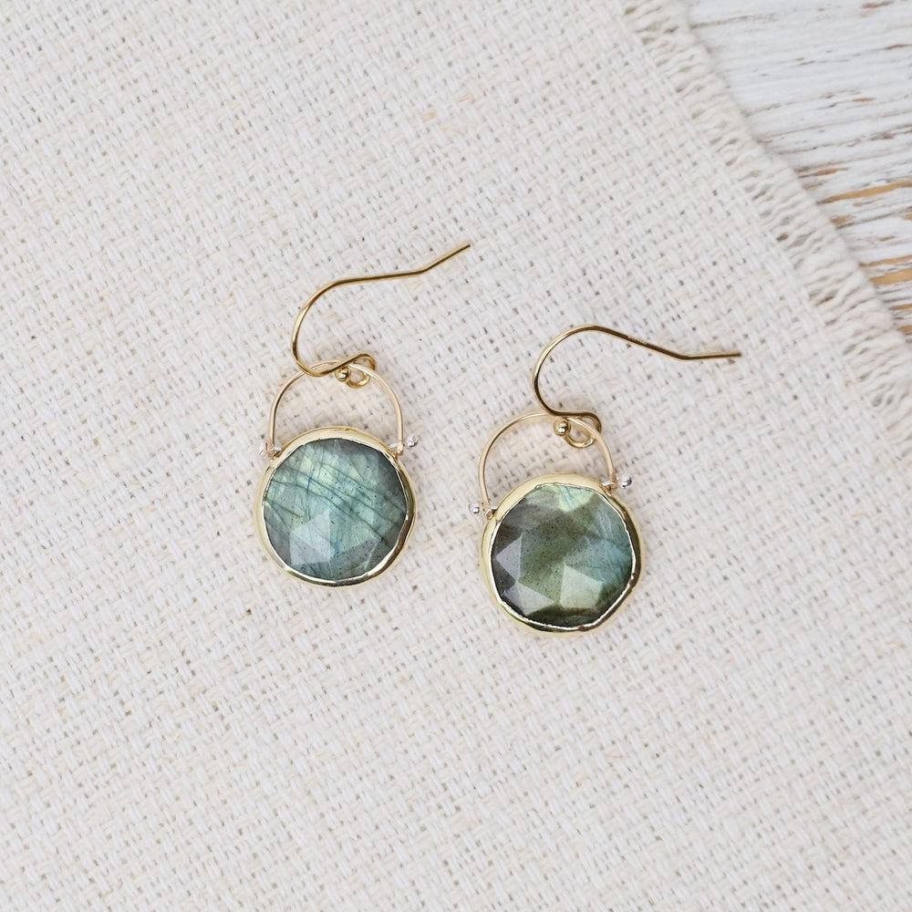 
                  
                    EAR-GF Dipsea Earrings with Labradorite
                  
                