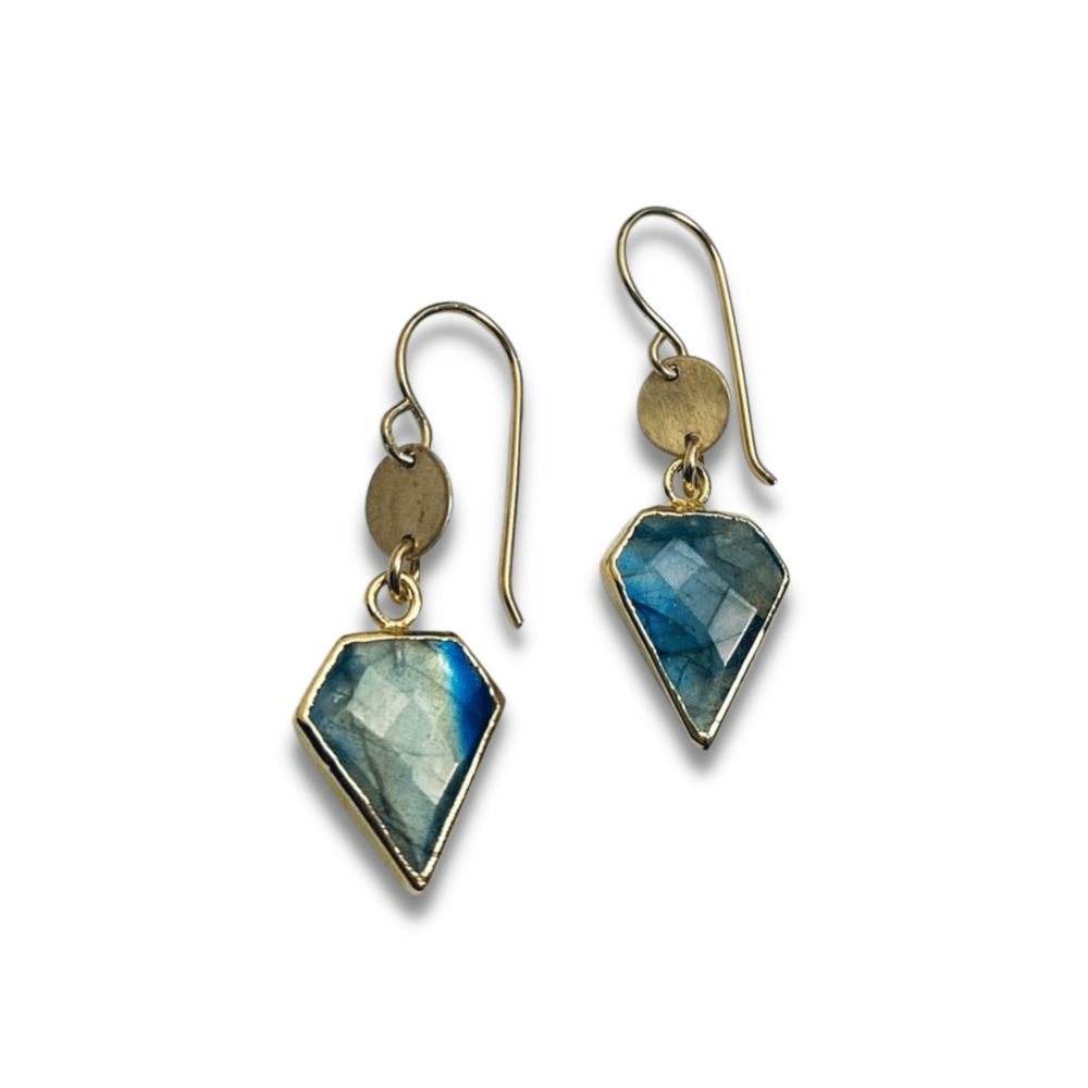 
                  
                    EAR-GF Geometry Labradorite Drop Earrings
                  
                