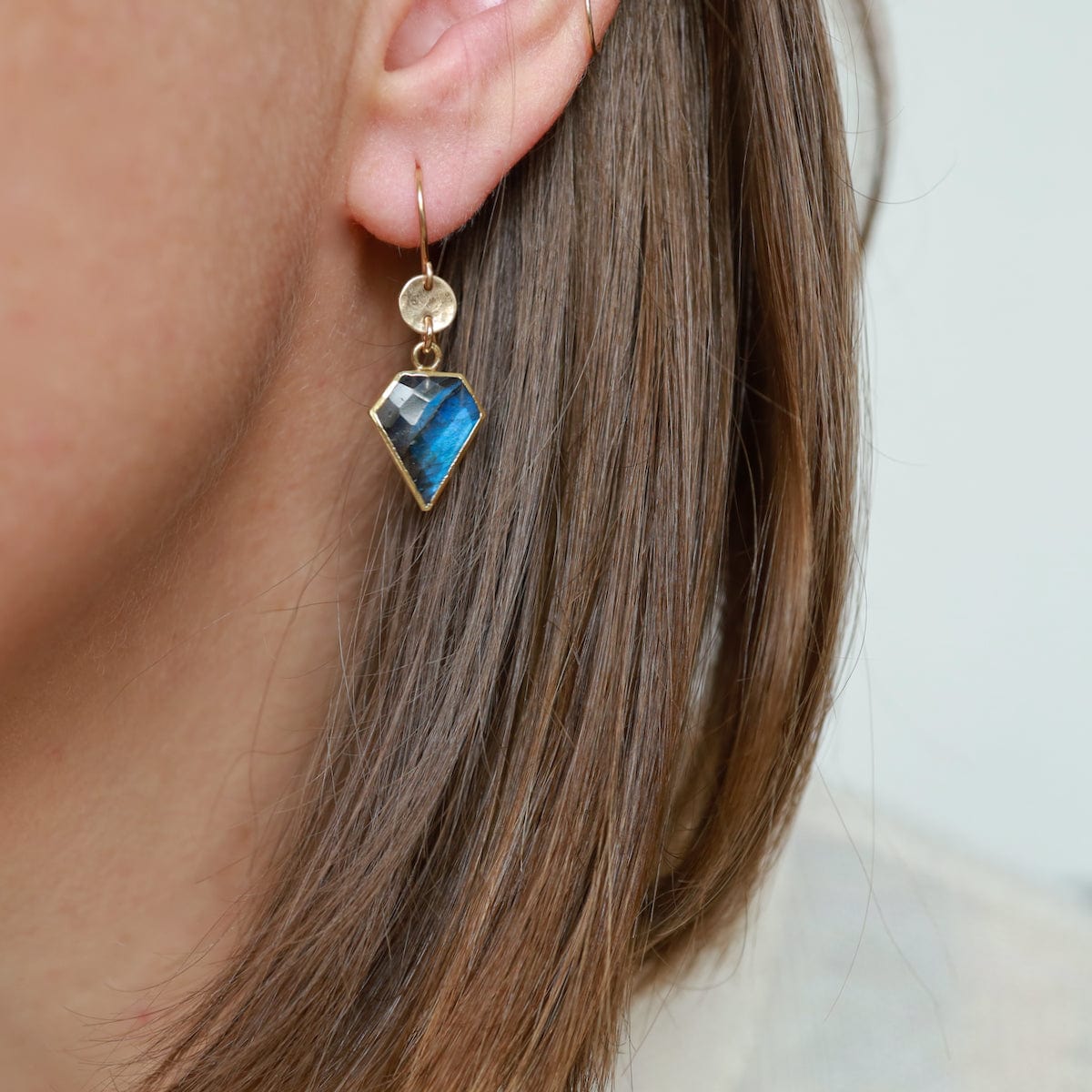 EAR-GF Geometry Labradorite Drop Earrings