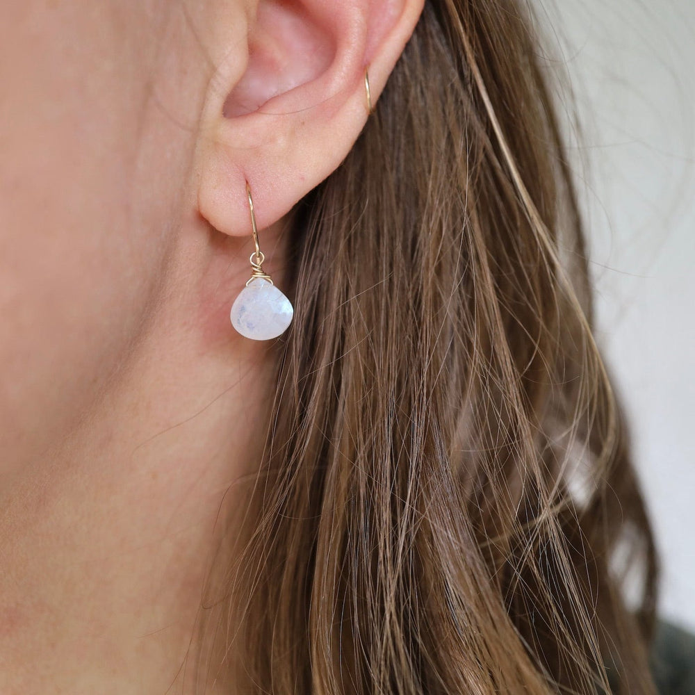 EAR-GF Gold Filled 10mm Rainbow Moonstone Drop Earring