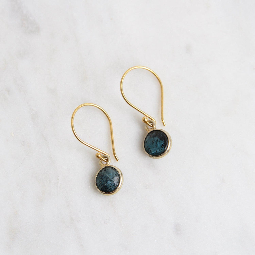 
                      
                        EAR-GF Gold Filled Bezel Set Indigo Kyanite Drops
                      
                    