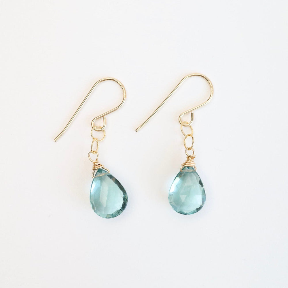 
                      
                        EAR-GF Gold Filled Blue Topaz Drops Earring
                      
                    