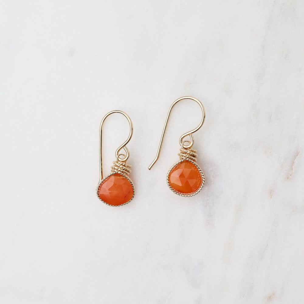 
                      
                        EAR-GF Gold Filled Braided Earrings with Carnelian
                      
                    