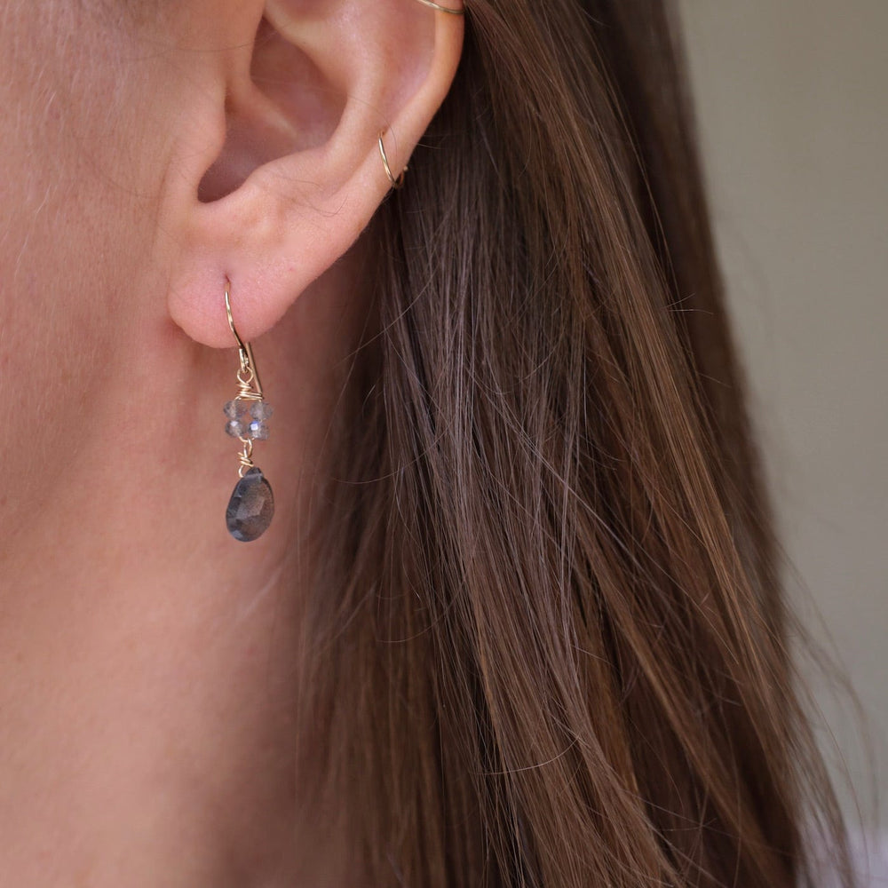 
                  
                    EAR-GF Gold Filled Flower Cluster with Labradorite Drops
                  
                