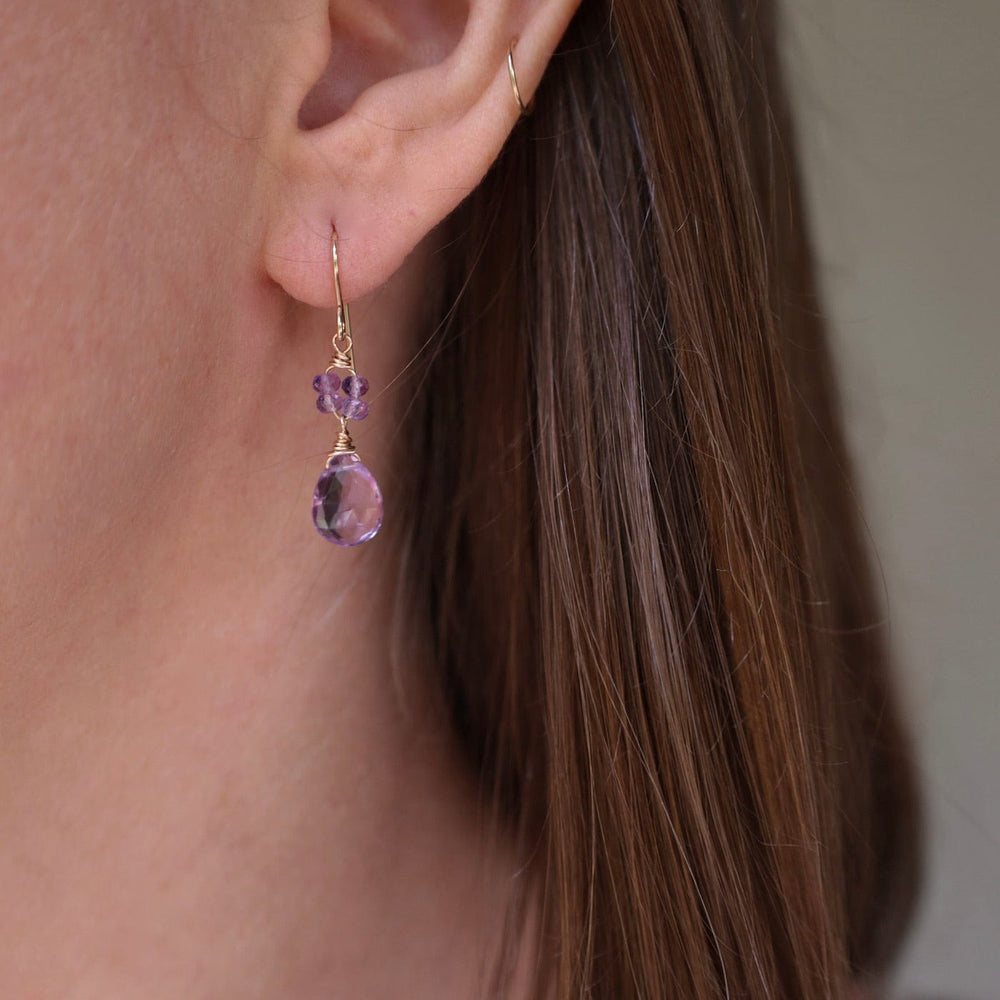 
                      
                        EAR-GF Gold Filled Flower Cluster with Pink Amethyst Earring
                      
                    