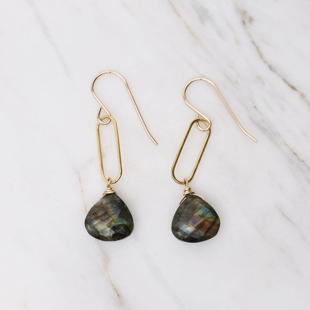 EAR-GF Gold Filled Labradorite on Paperclip Earrings