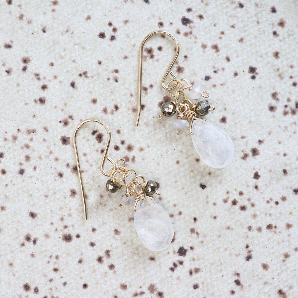 
                      
                        EAR-GF Gold Filled Moonstone Rondelle Cluster Earring
                      
                    