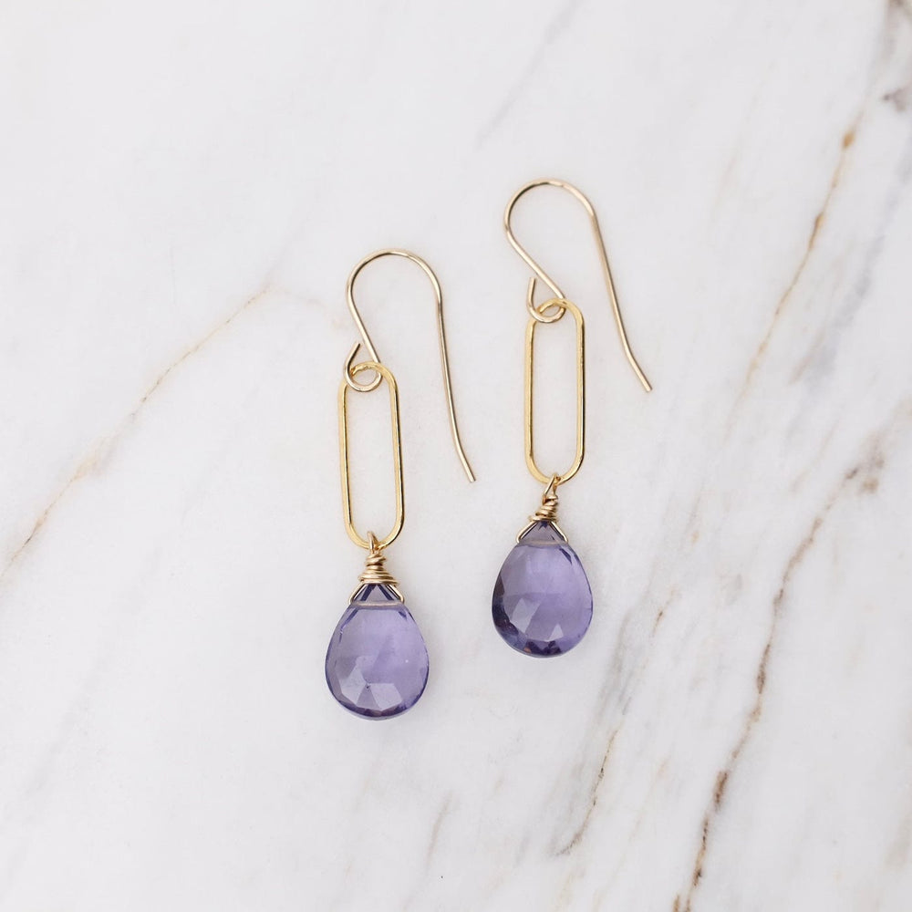 EAR-GF Gold Filled Purple Quartz on Paperclip Earrings